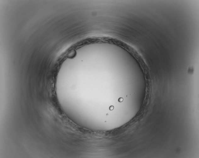 X0000114400871200910161053