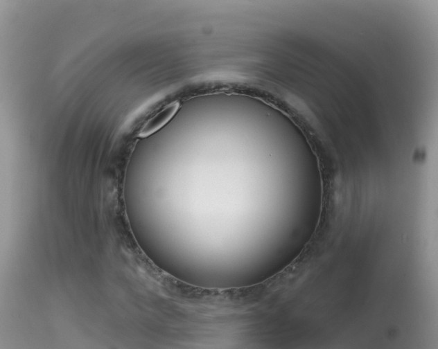 X0000114400872200910161053
