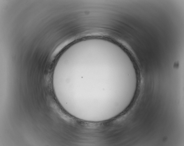 X0000114400874200910161053