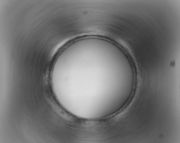 X0000114400875200910161053