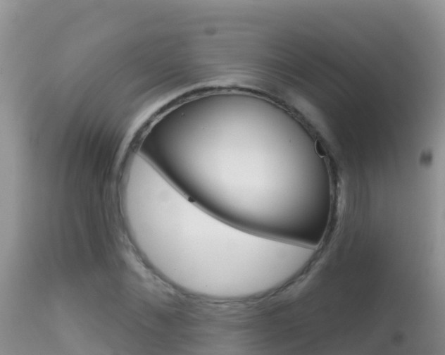 X0000114400876200910161053