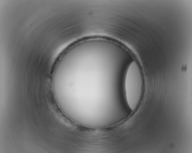 X0000114400879200910161053
