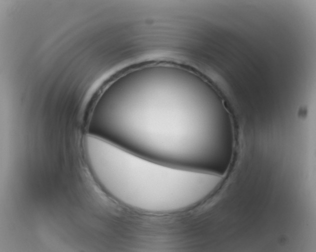 X0000114400880200910161053