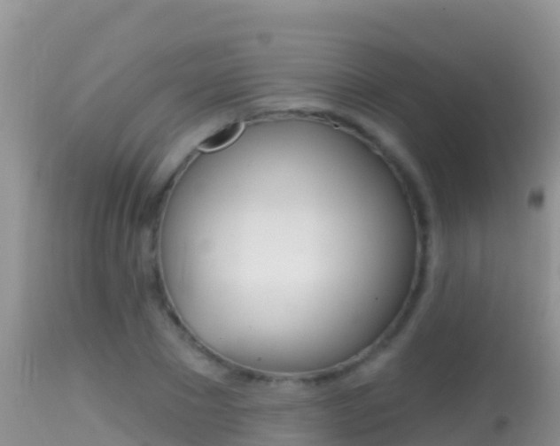 X0000114400881200910161053