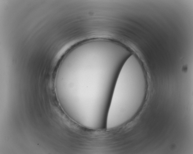 X0000114400883200910161053