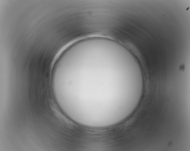 X0000114400884200910161053
