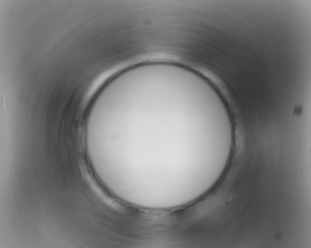 X0000114400886200910161053