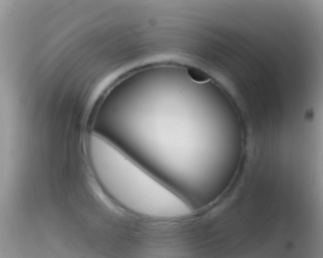 X0000114400888200910161053