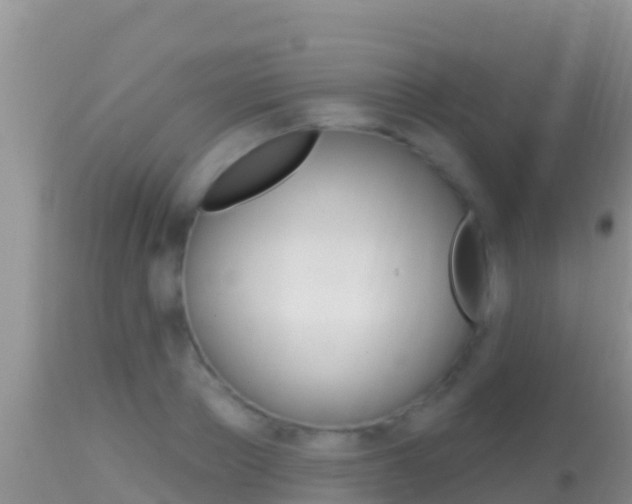 X0000114400889200910161053