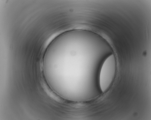 X0000114400891200910161053