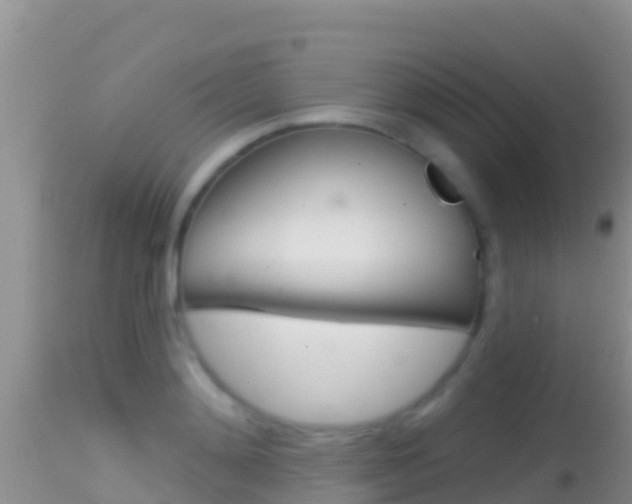 X0000114400892200910161053