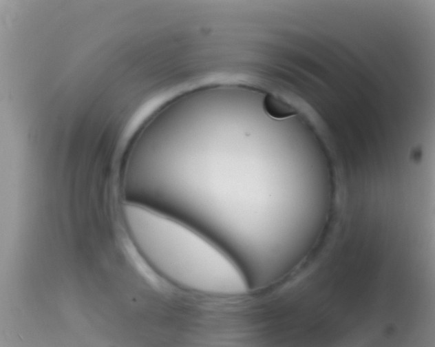X0000114400894200910161053