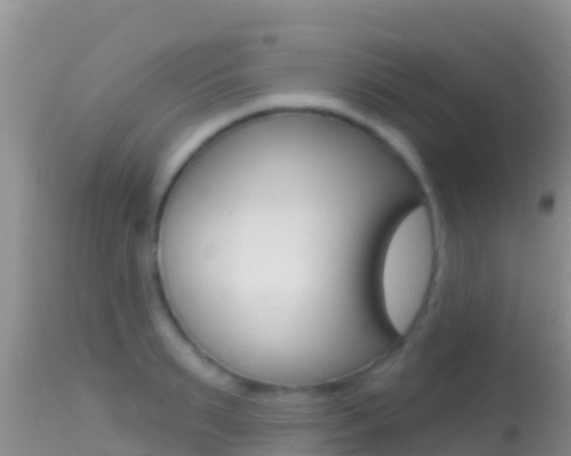 X0000114400895200910161053