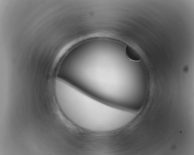 X0000114400896200910161053