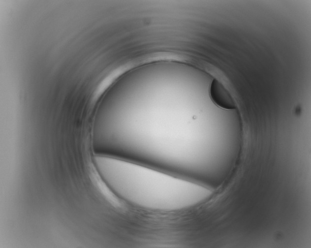 X0000114400898200910161053