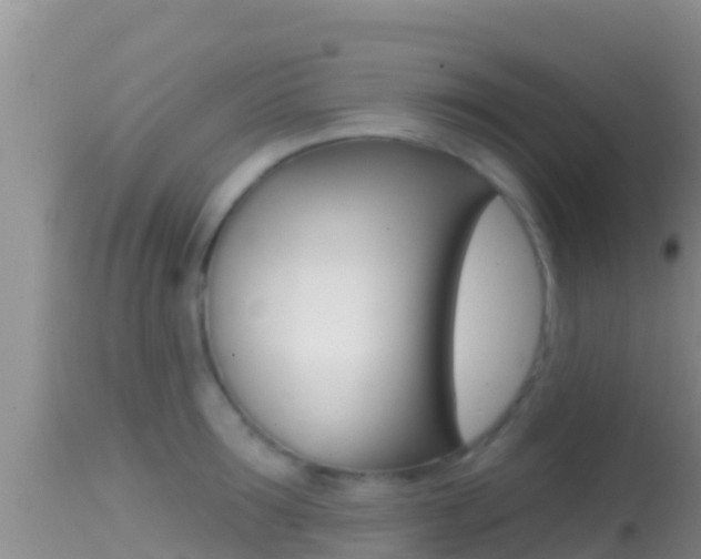 X0000114400899200910161053