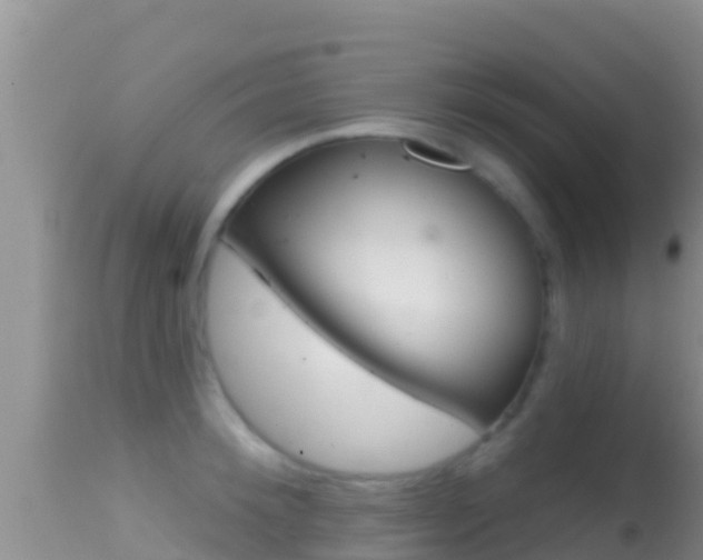 X0000114400900200910161053