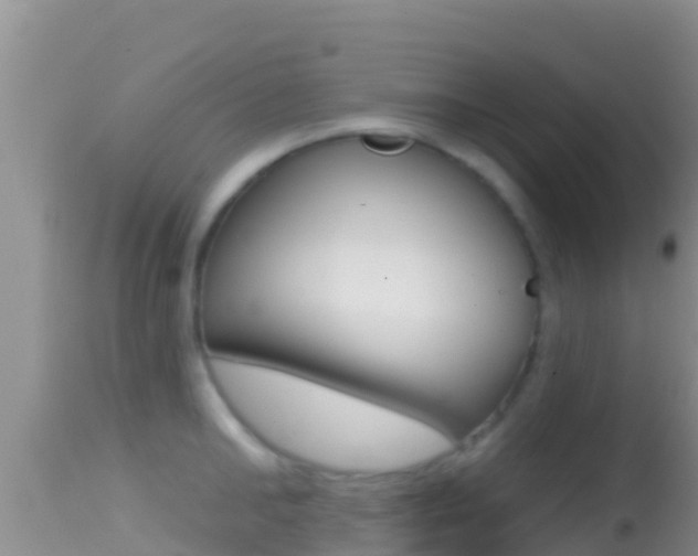 X0000114400902200910161053