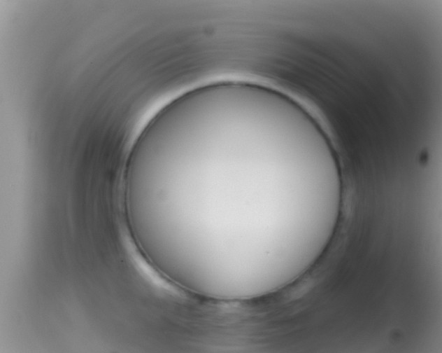 X0000114400903200910161053