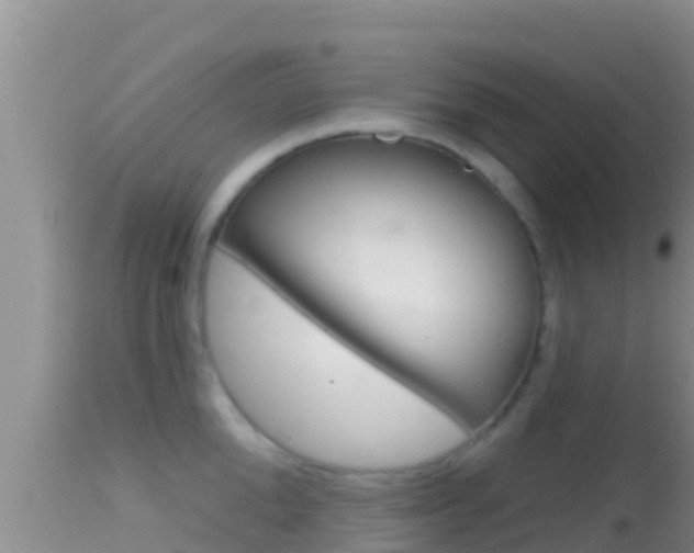 X0000114400904200910161053
