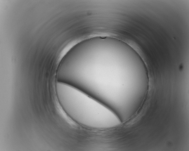 X0000114400906200910161053