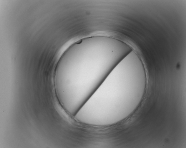 X0000114400907200910161053