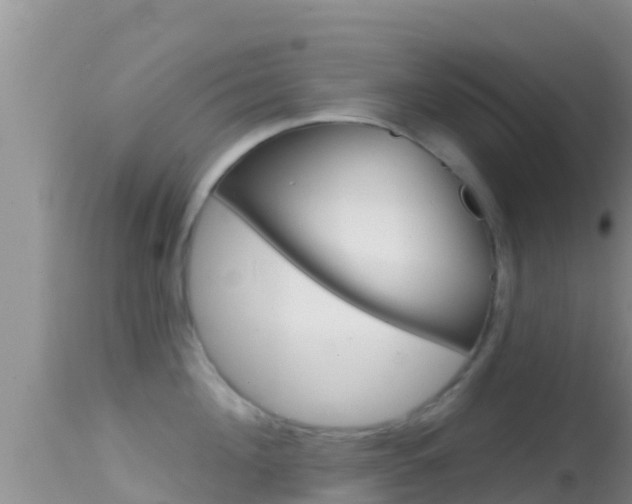 X0000114400908200910161053