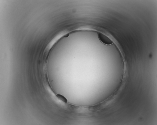 X0000114400909200910161053