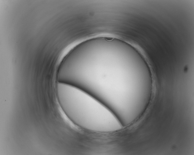 X0000114400910200910161053
