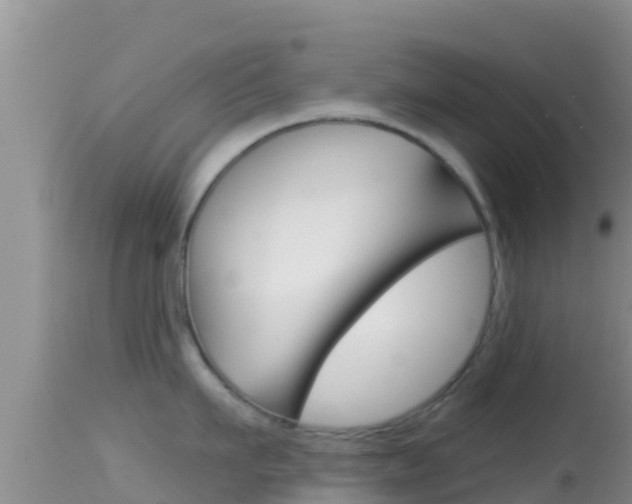 X0000114400911200910161053