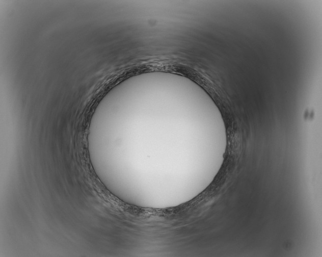 X0000114400913200910161052