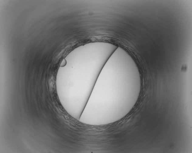 X0000114400915200910161052