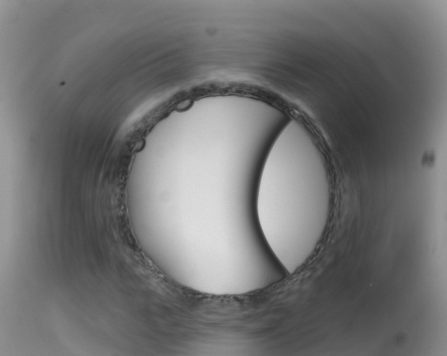 X0000114400919200910161052