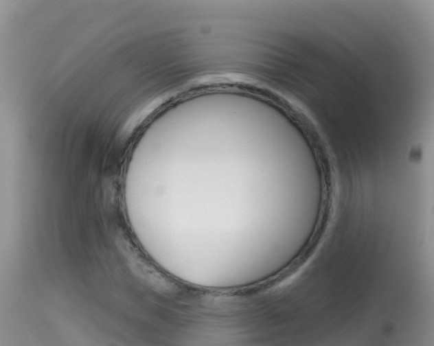 X0000114400921200910161052