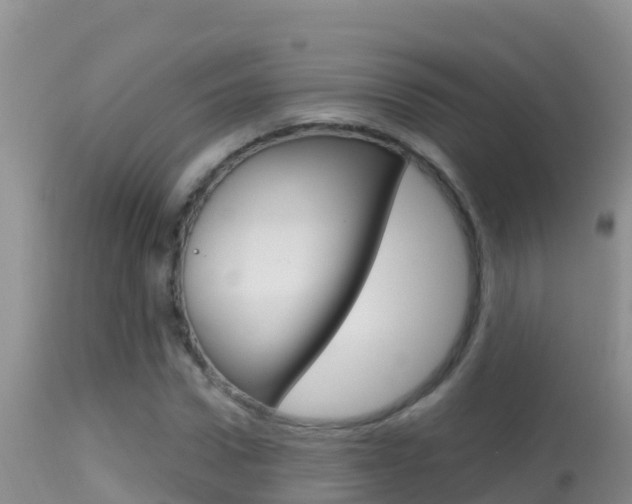 X0000114400922200910161052