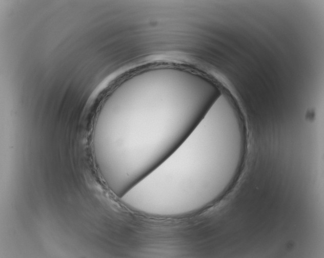 X0000114400923200910161052