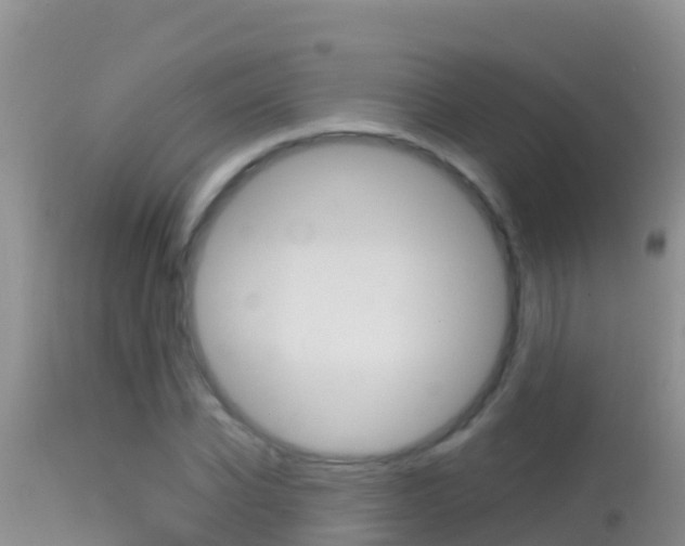 X0000114400926200910161052