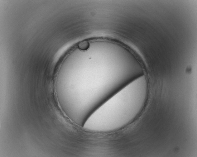 X0000114400927200910161052