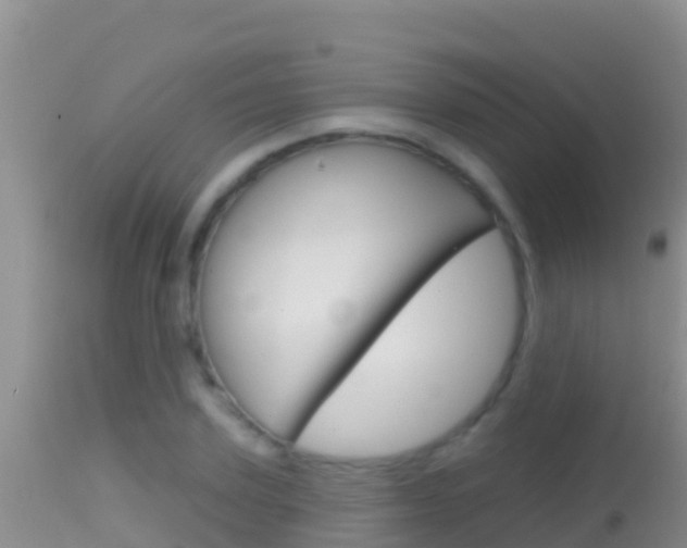 X0000114400931200910161052