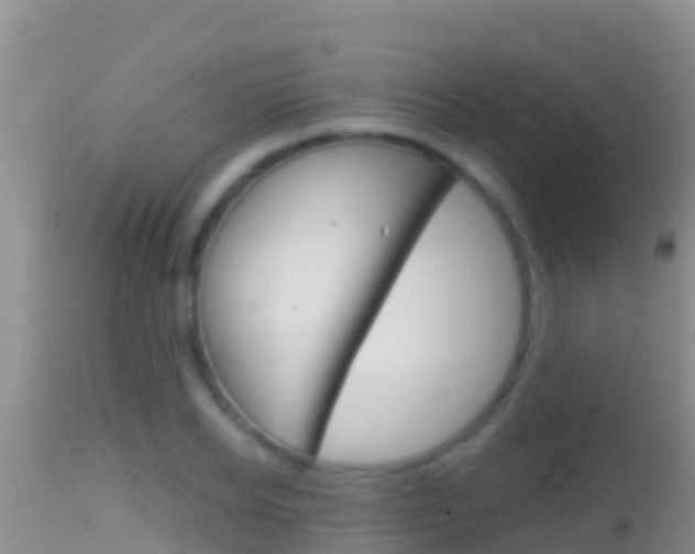 X0000114400934200910161052