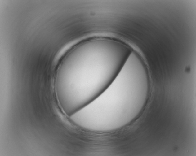 X0000114400935200910161052