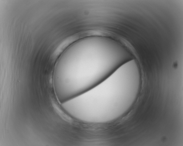 X0000114400938200910161053