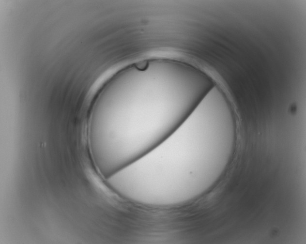 X0000114400939200910161053