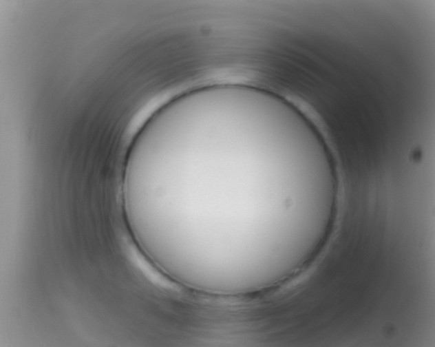 X0000114400941200910161053