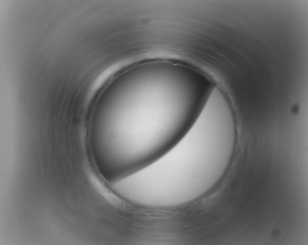 X0000114400942200910161053