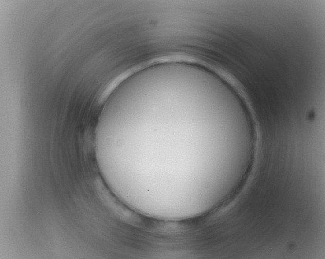 X0000114400945200910161053