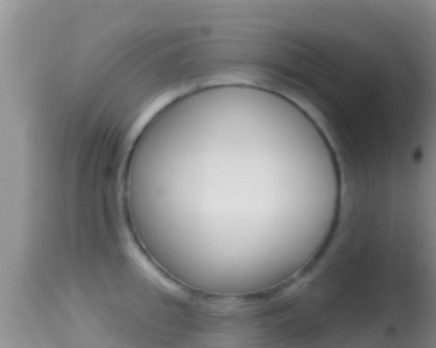 X0000114400949200910161053