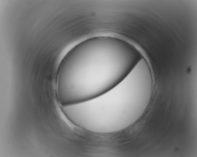 X0000114400951200910161053