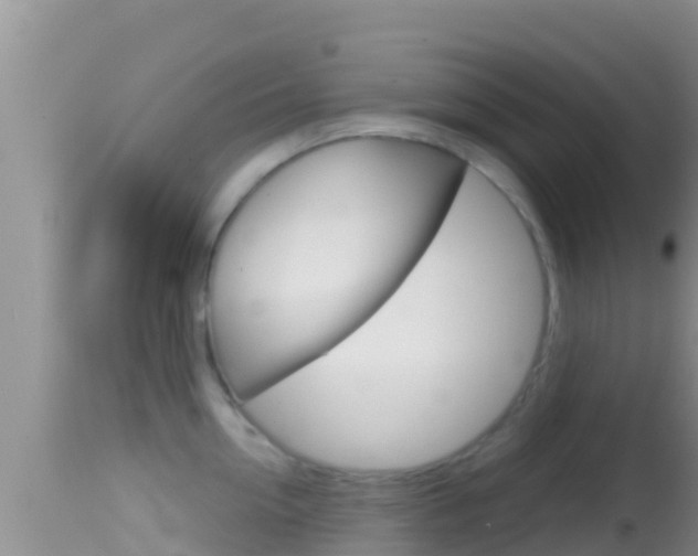 X0000114400954200910161053