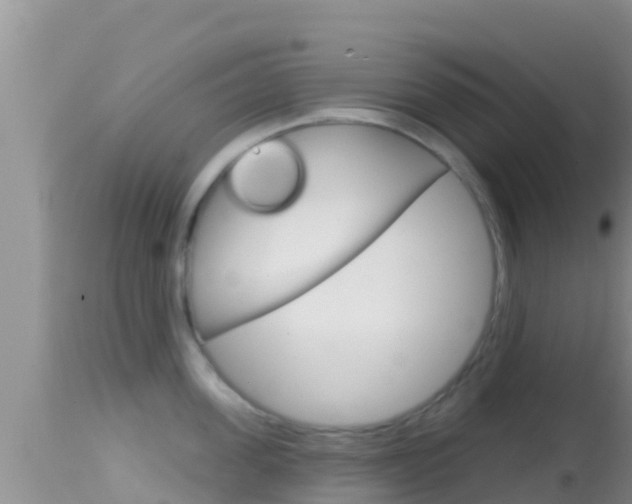 X0000114400955200910161053